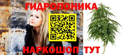 spice Гай
