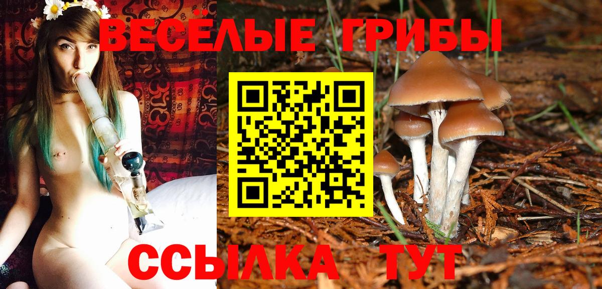 Галлюциногенные грибы Magic Shrooms  Вход с VPN  Мценск 